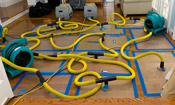 Professional Crawl Space Water Removal technician working in Alledonia, OH